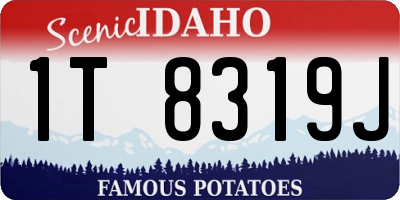 ID license plate 1T8319J