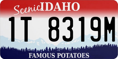 ID license plate 1T8319M