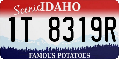 ID license plate 1T8319R