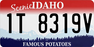 ID license plate 1T8319V