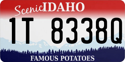 ID license plate 1T8338Q