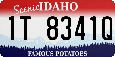 ID license plate 1T8341Q
