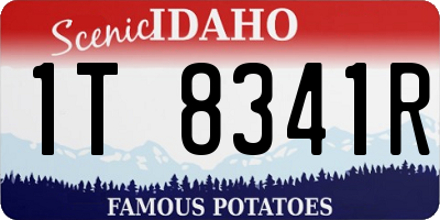 ID license plate 1T8341R