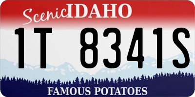 ID license plate 1T8341S