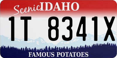 ID license plate 1T8341X