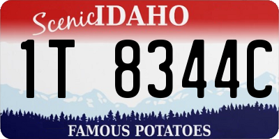 ID license plate 1T8344C