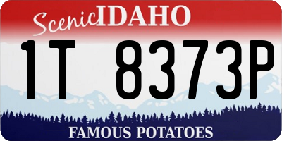 ID license plate 1T8373P