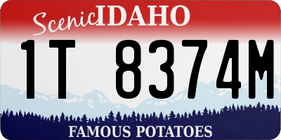ID license plate 1T8374M