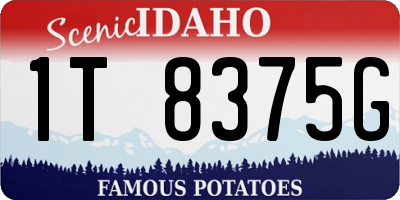 ID license plate 1T8375G