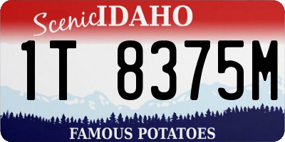 ID license plate 1T8375M