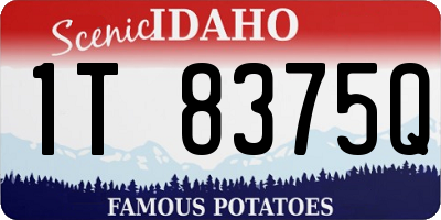 ID license plate 1T8375Q