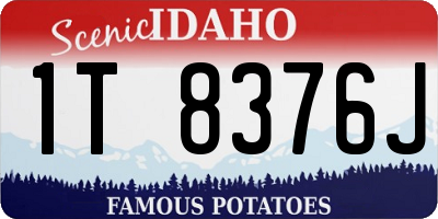 ID license plate 1T8376J