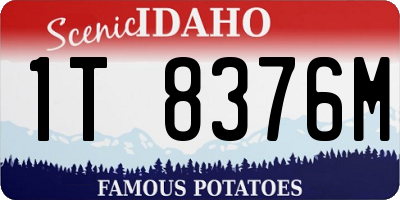 ID license plate 1T8376M