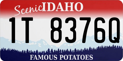 ID license plate 1T8376Q