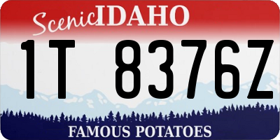 ID license plate 1T8376Z
