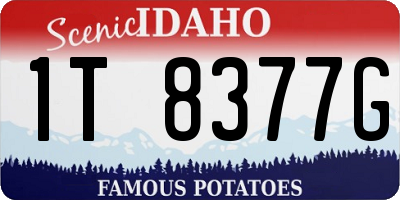 ID license plate 1T8377G