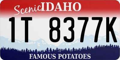 ID license plate 1T8377K