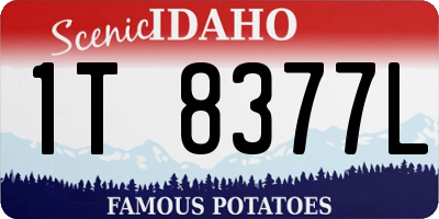 ID license plate 1T8377L