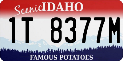 ID license plate 1T8377M
