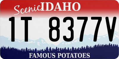 ID license plate 1T8377V