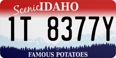 ID license plate 1T8377Y