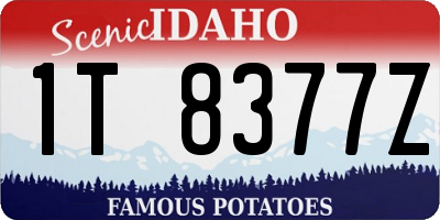 ID license plate 1T8377Z
