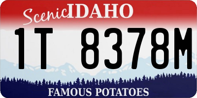 ID license plate 1T8378M