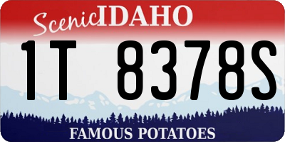 ID license plate 1T8378S