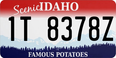 ID license plate 1T8378Z
