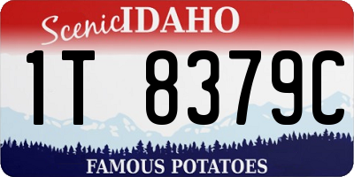 ID license plate 1T8379C