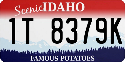 ID license plate 1T8379K