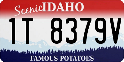 ID license plate 1T8379V