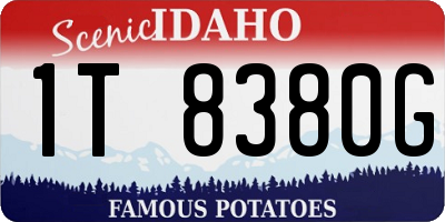 ID license plate 1T8380G