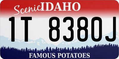 ID license plate 1T8380J