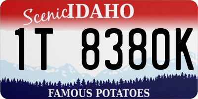ID license plate 1T8380K