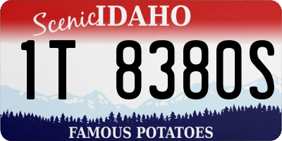 ID license plate 1T8380S