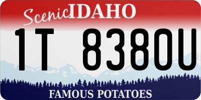 ID license plate 1T8380U