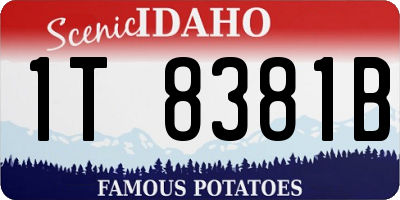 ID license plate 1T8381B