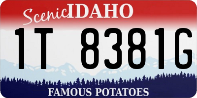 ID license plate 1T8381G