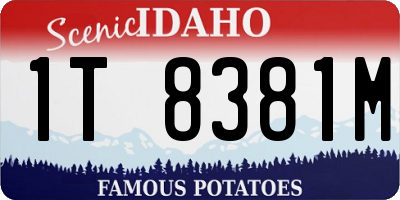 ID license plate 1T8381M