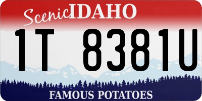 ID license plate 1T8381U