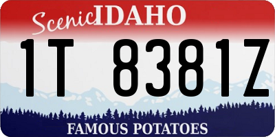 ID license plate 1T8381Z