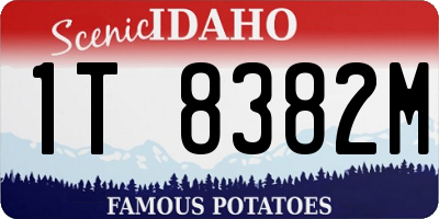 ID license plate 1T8382M