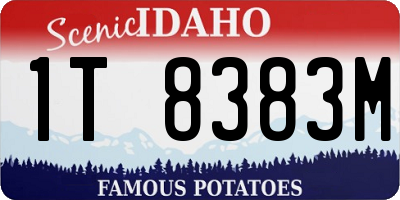 ID license plate 1T8383M