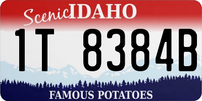 ID license plate 1T8384B