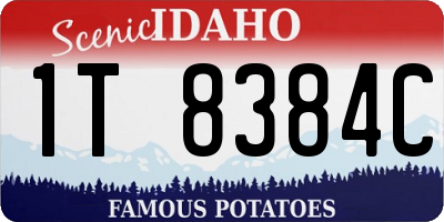 ID license plate 1T8384C