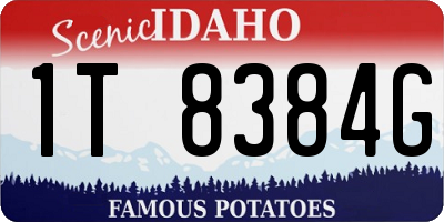 ID license plate 1T8384G