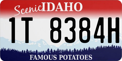 ID license plate 1T8384H