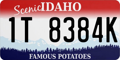 ID license plate 1T8384K