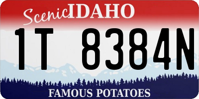 ID license plate 1T8384N